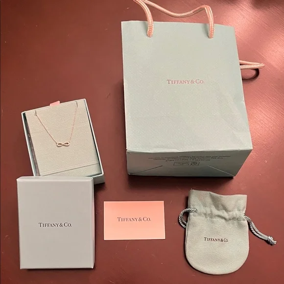 Tiffany & Co. Sterling Silver Infinity Necklace Set - Picture 1 of 9